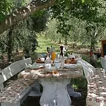 Olioealloro San Vincenzo