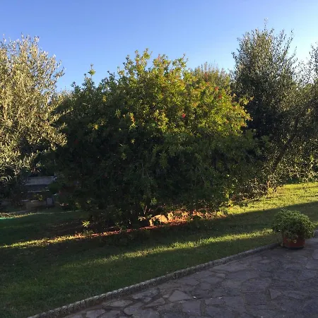 Casa de hóspedes Olioealloro