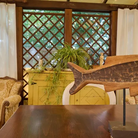 Olioealloro 3* San Vincenzo