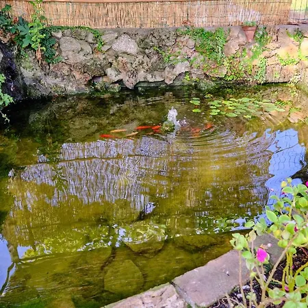 Olioealloro Vendégház