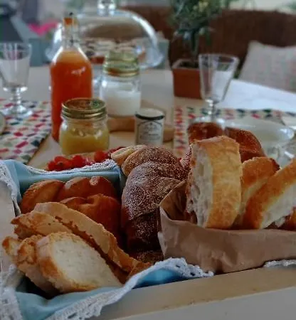 Vendégház Olioealloro